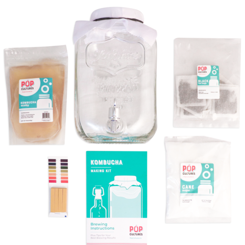 Kombucha Starter Kit | Brew Your Own Kombucha at Home | Pop Culture