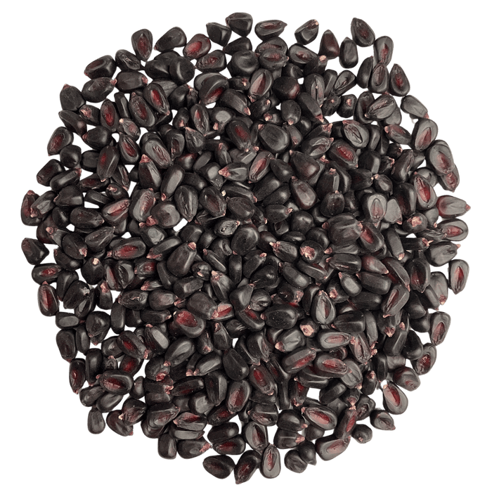 Image of a circular pile of heirloom purple corn for brewing.