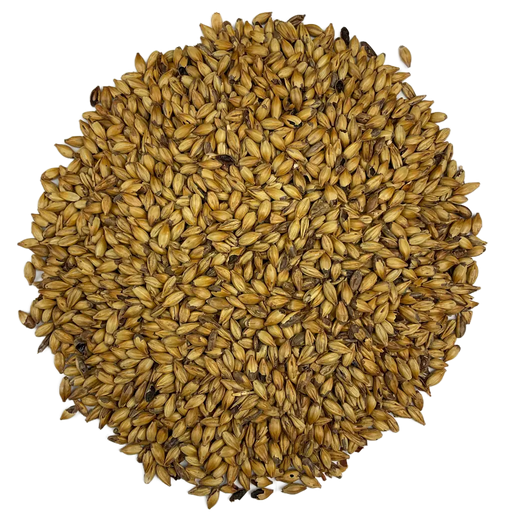 Simpsons Simpsons Crystal T50™ Malt – Top-Down View Showing Overall Grain Color