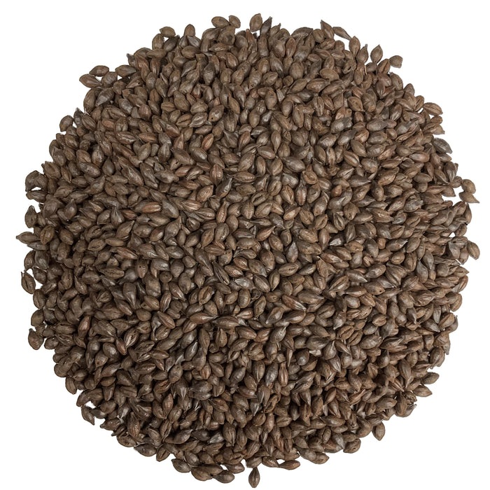 Simpsons Simpsons Roasted Barley : Top-Down View Showing Overall Grain Color