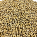 Close up view of a circular pile of Weyermann Barke Pilsner malt, the perfect base malt for many beer styles.