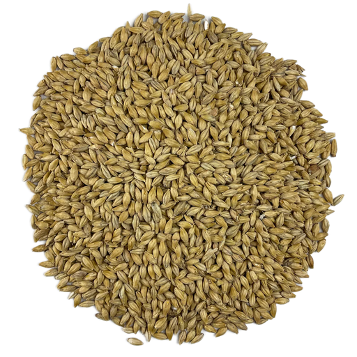 Circular pile of Weyermann Barke Pilsner malt, the perfect base malt for many beer styles.