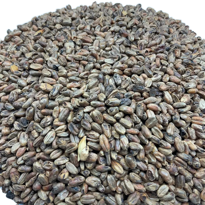 Close up view of a circular pile of Weyermann Carawheat Malt for home brewed beers.