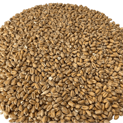 Circular pile of Weyermann Floor Malted Bohemian Wheat Malt, close up view.