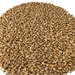 Circular pile of Weyermann Floor Malted Bohemian Wheat Malt, close up view.