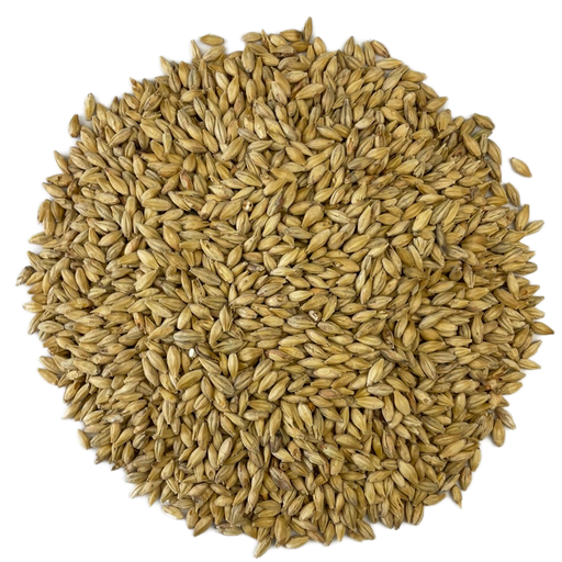 Circular pile of Weyermann® Vienna Malt for homebrewing beers.