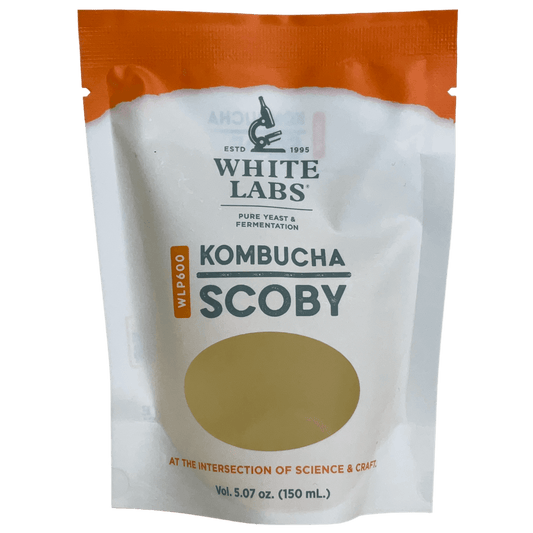 Kombucha SCOBY Culture | White Labs WLP600