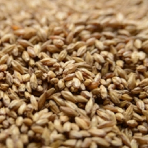 Briess Briess Carapils® (Dextrine) – Top-Down View Showing Overall Grain Color