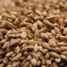 Mouterij Dingemans Aromatic Malt – Top-Down View Showing Overall Grain Color